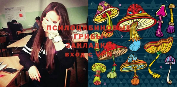 Альфа ПВП Аркадак