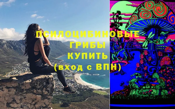 МДПВ Алексеевка