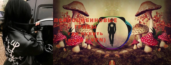Альфа ПВП Аркадак